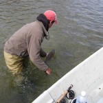 28inch Brown Trout caught a the Falls1