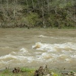 A four foot rise in the North Fork one year ago