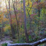 A late fall day on Spring Creek above Rockbridge Mill