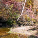 A late fall day on Spring Creek above Rockbridge Mill