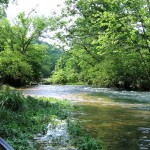 An evening float past Rainbow Springs1