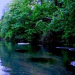 An evening float past Rainbow Springs1