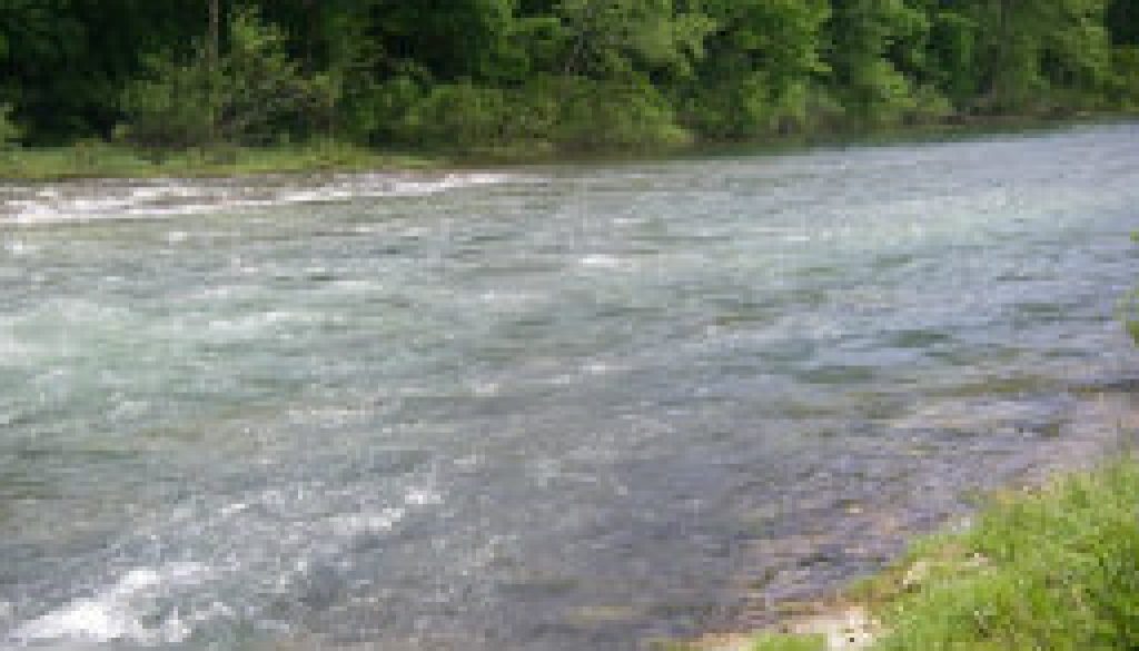 An evening walk to catch a wild trout featured