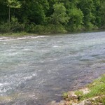 An evening walk to catch a wild trout