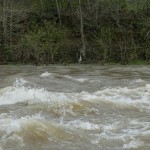 Another group of April pictures @ 4000 CFS