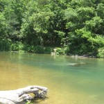 Beautiful Bryant Creek in late June1
