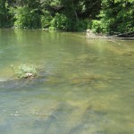Beautiful Bryant Creek in late June1