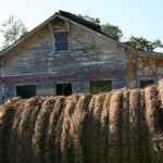 Ghosts of the past times in Ozark County Missouri