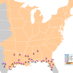 Hummingbirds migration for 2009 has begun1