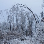 ICE STORM Part 1 - 2009