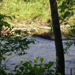 Kelly Ford (at and above the rapids below)