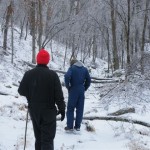 More January Ice Storm photos from Myron