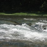 North Fork Falls in June 2008