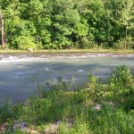 North Fork River (at falls) at 1900-2000 CFS1