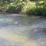 North Fork River looking upstream from McKee Bridge