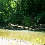 North Fork above Hale in late September 19851