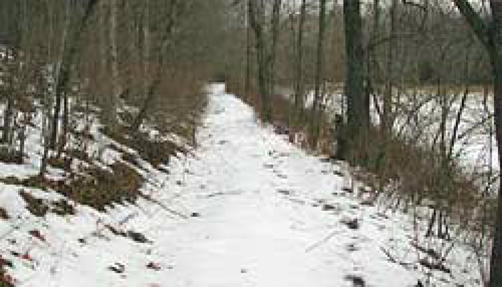 Old Wagon Road along the Bryant Creek featured