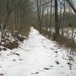 Old Wagon Road along the Bryant Creek