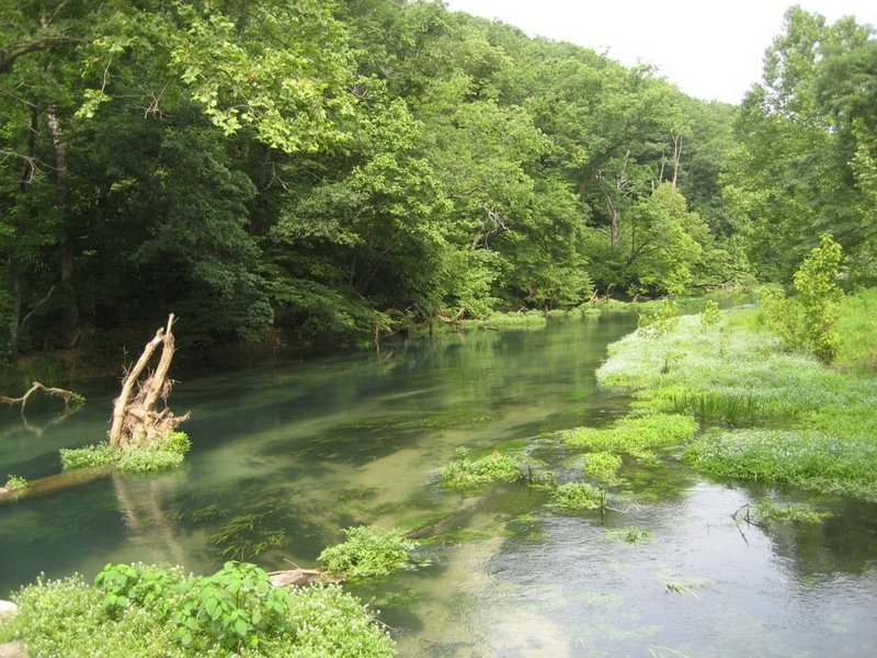 On Rainbow Spring Branch (proper)