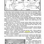 Ozark County Survey from ~ 1900; possibly 1895