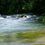 Rainbow Springs May 2009