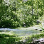 Rainbow Springs May 2009