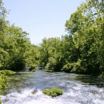 Rainbow Springs May 2009