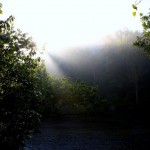 Rewind to September dawns from a River Cabin