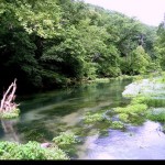 Special private look at Rainbow Springs