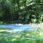 Special private look at Rainbow Springs