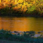 The Golden Hour at River of Life Farm