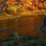 The Golden November North Fork Evening