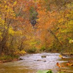 The beauty of Vera Cruz access on the Bryant Creek