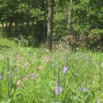 Things to do -- Caney Mountain Refuge