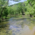 Upper North Fork River in early May
