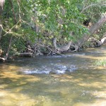 Upper North Fork River in early May