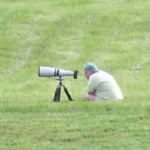 Using a long lens to capture bluebirds