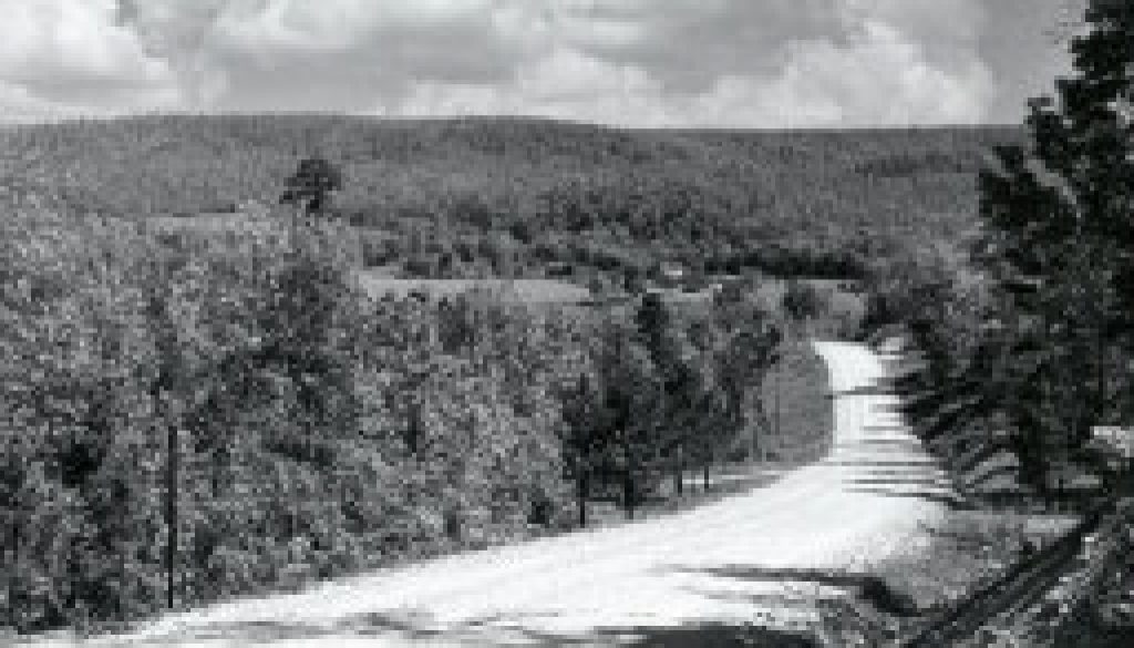 West Plains to Dora Road in 1964 featured