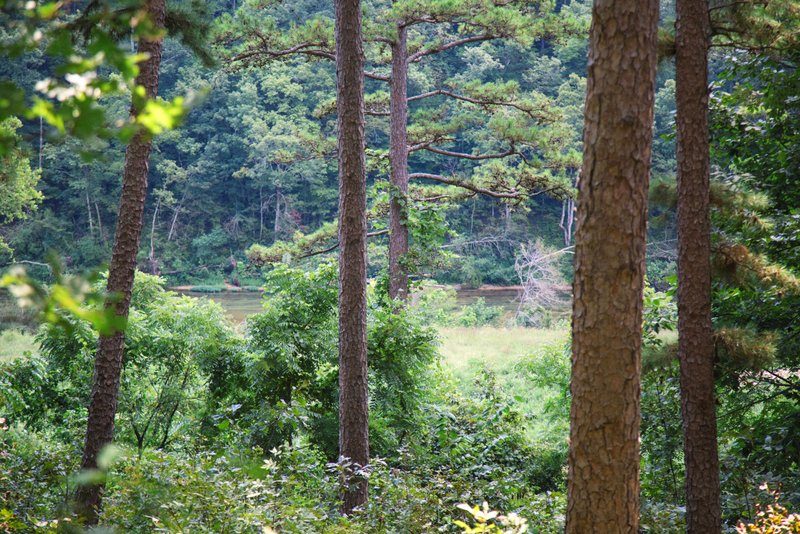 Missouri Romantic Treehouse Cabin Whispering Pine