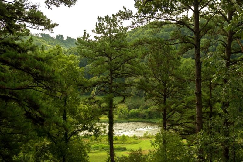 Missouri River Rose Treehouse Cabin
