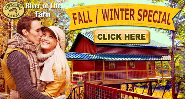 Missouri Fall Winter Treehouse special
