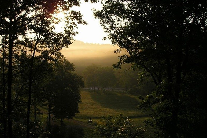 Mountain Log Lookout Missouri Treehouse Cabin