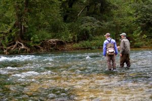 Missouri Fly Fishing Guide Brian Wise